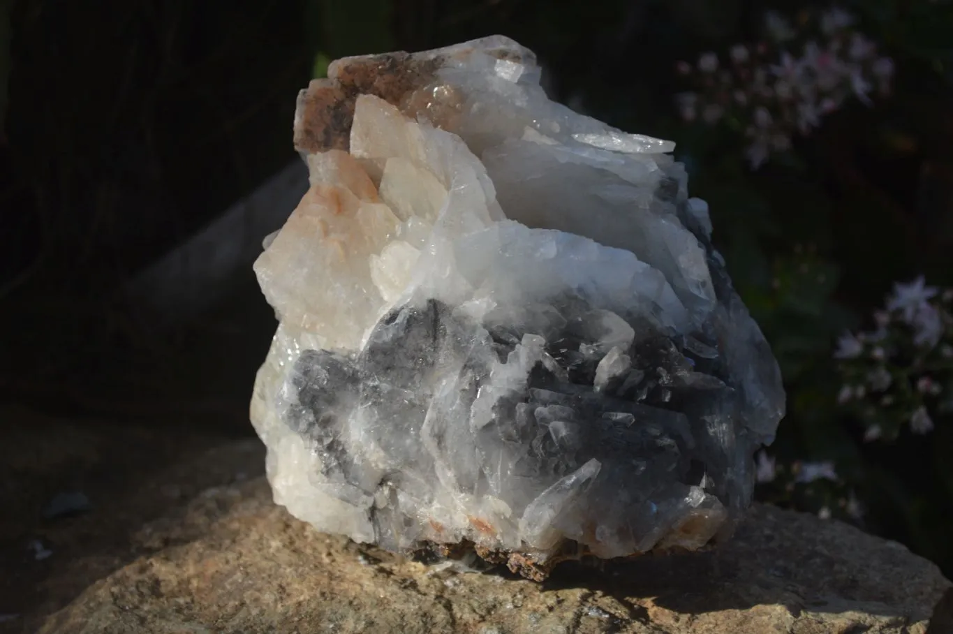 Natural Large Bladed Barite Specimen  x 1 From Congo