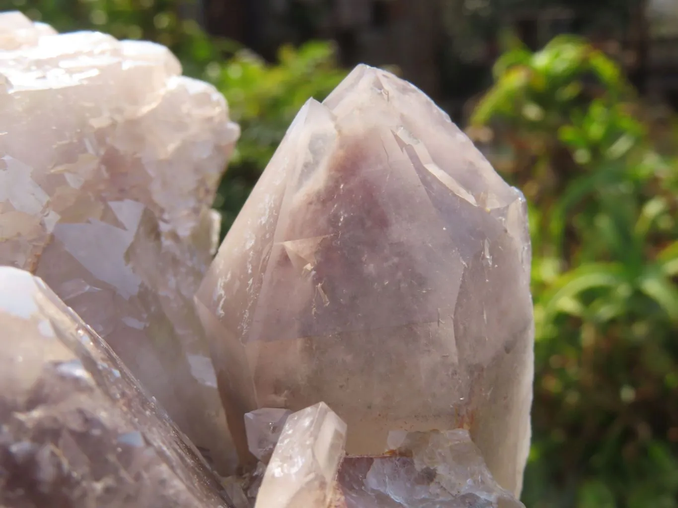 Natural Red Hematoid Quartz Cluster x 1 From Karoi, Zimbabwe