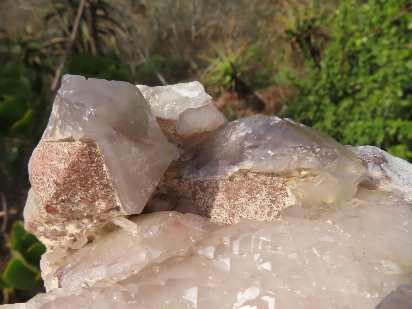 Natural Red Hematoid Quartz Cluster x 1 From Karoi, Zimbabwe