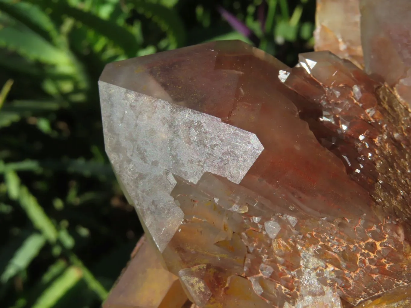 Natural Red Phantom Hematoid Quartz Cluster x 1 From Karoi, Zimbabwe
