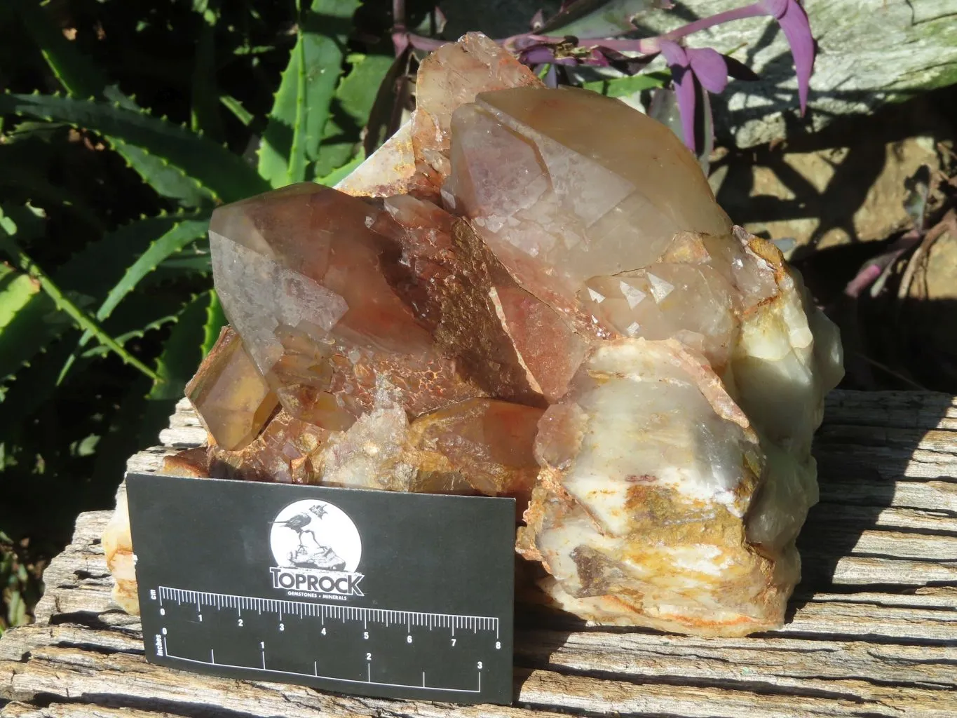 Natural Red Phantom Hematoid Quartz Cluster x 1 From Karoi, Zimbabwe