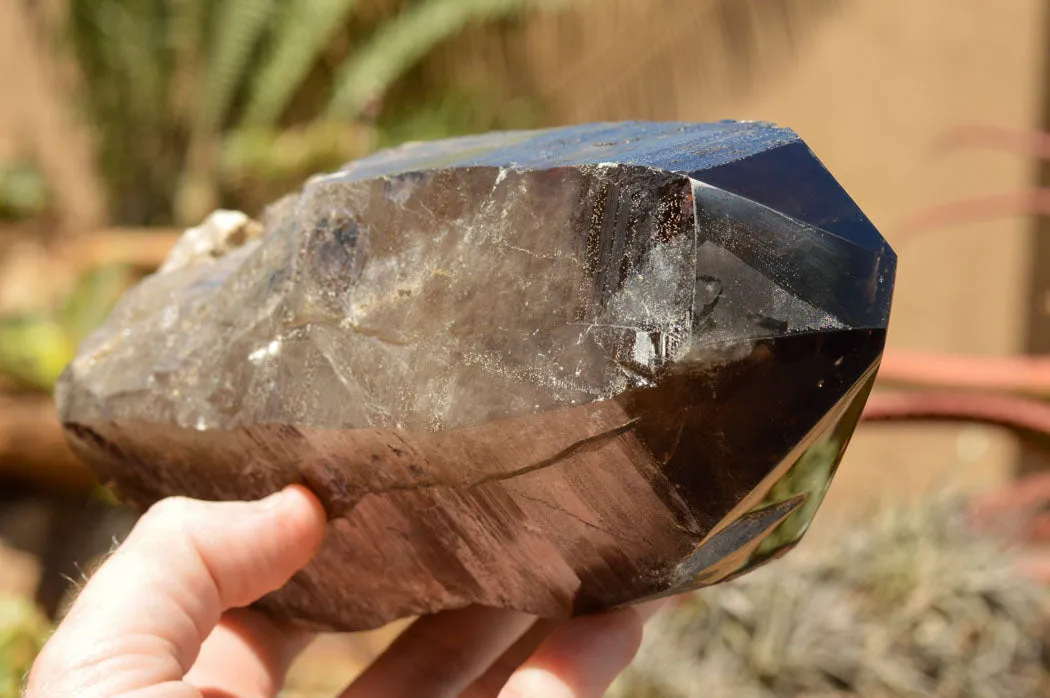 Natural Smokey Quartz Crystal With Polished Termination x 1 From Zomba, Malawi