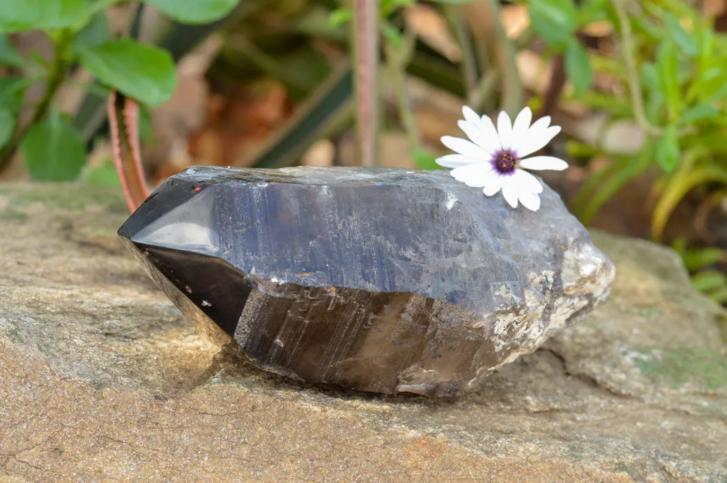 Natural Smokey Quartz Crystal With Polished Termination x 1 From Zomba, Malawi