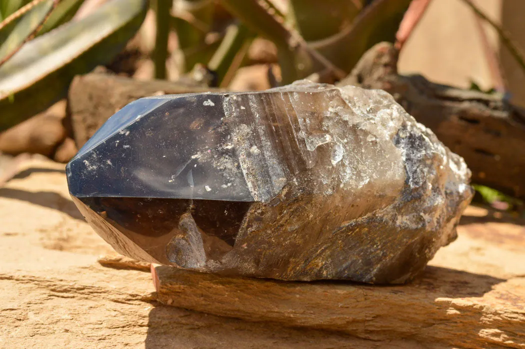 Natural Smokey Quartz Crystal With Polished Termination x 1 From Zomba, Malawi