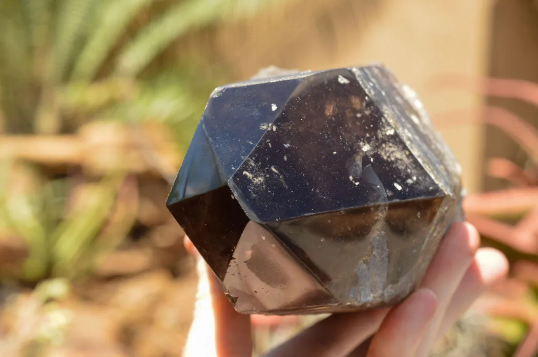 Natural Smokey Quartz Crystal With Polished Termination x 1 From Zomba, Malawi