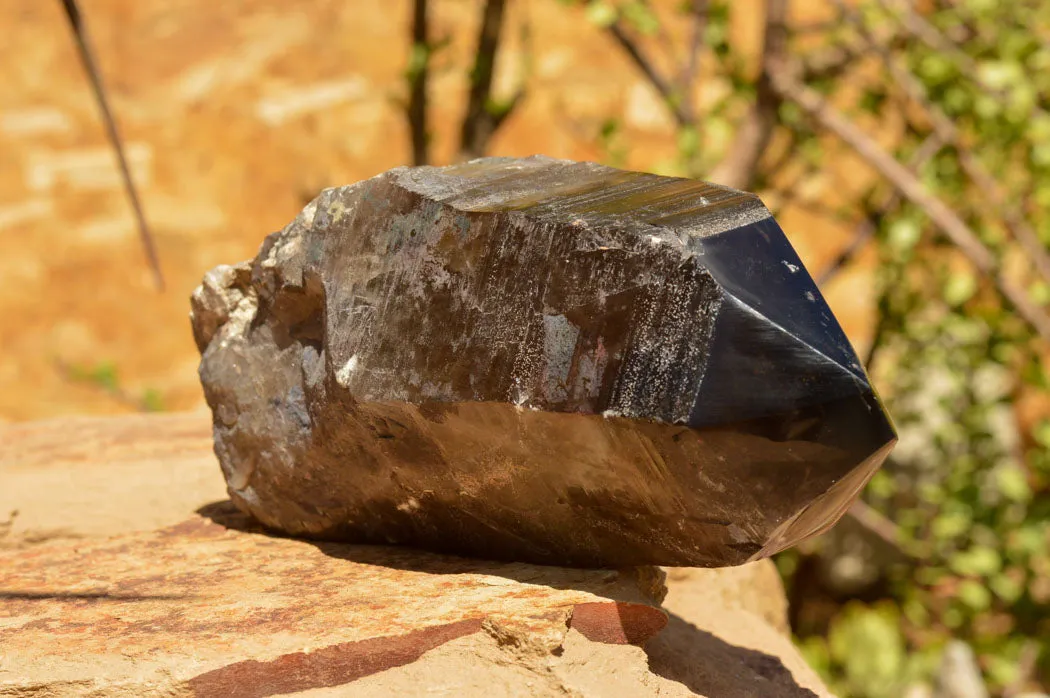 Natural Smokey Quartz Crystal With Polished Termination x 1 From Zomba, Malawi