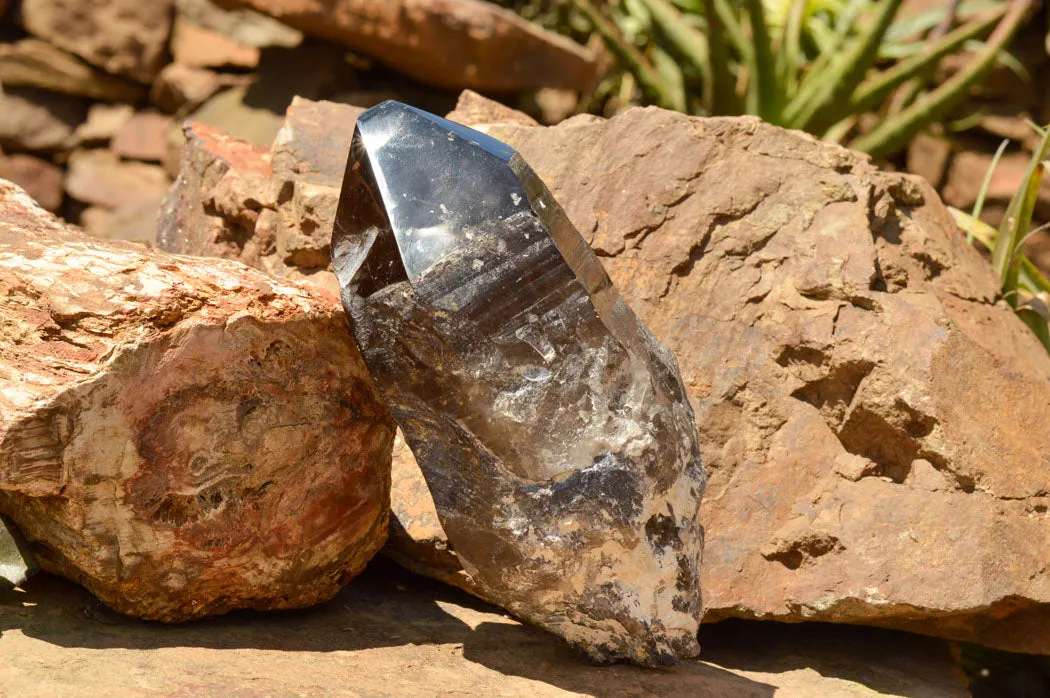 Natural Smokey Quartz Crystal With Polished Termination x 1 From Zomba, Malawi