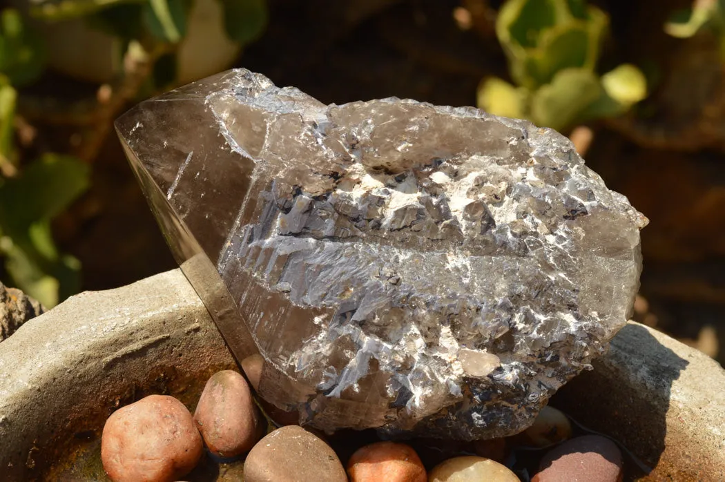 Natural Smokey Quartz Crystal With Polished Terminations x 1 From Mt. Mulanje, Malawi