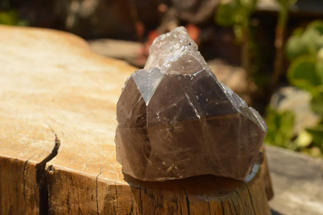 Natural Smokey Quartz Crystal With Polished Terminations x 1 From Mt. Mulanje, Malawi