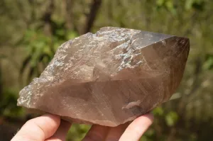 Natural Smokey Quartz Crystal With Polished Terminations x 1 From Mt. Mulanje, Malawi