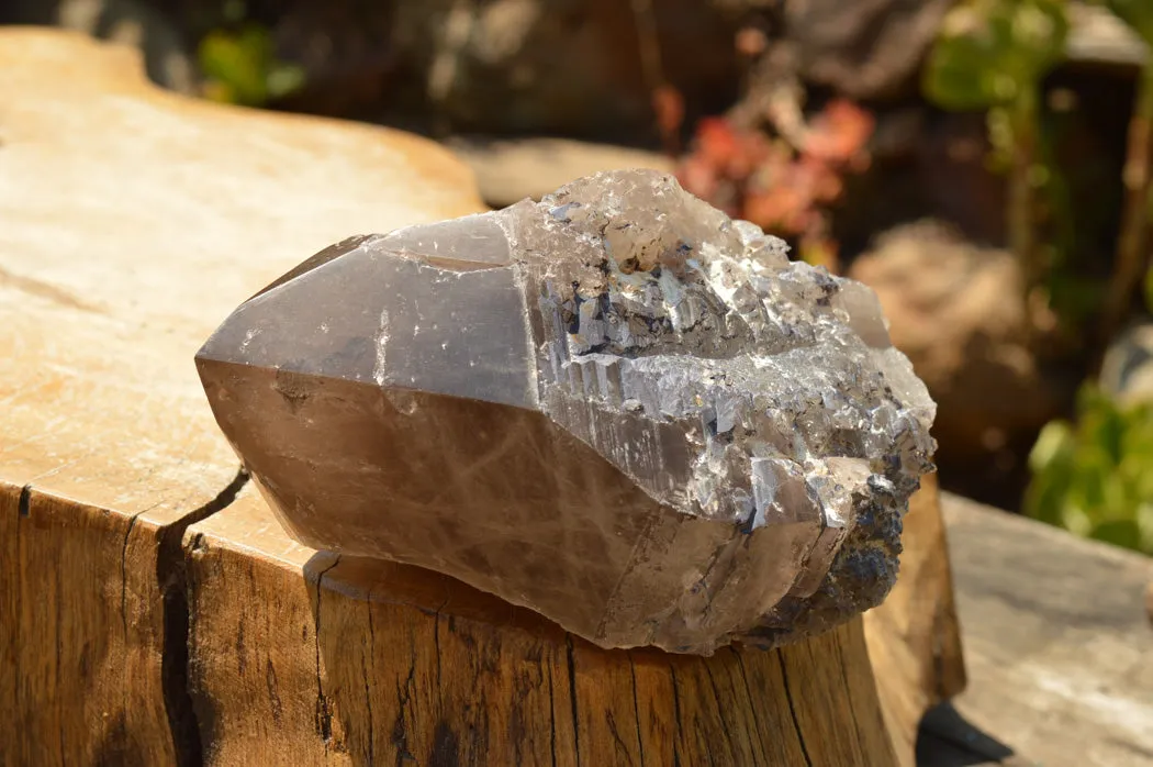 Natural Smokey Quartz Crystal With Polished Terminations x 1 From Mt. Mulanje, Malawi