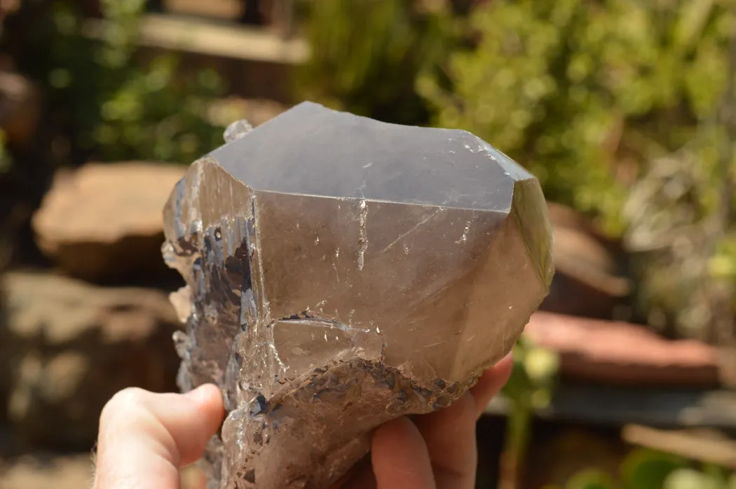 Natural Smokey Quartz Crystal With Polished Terminations x 1 From Mt. Mulanje, Malawi
