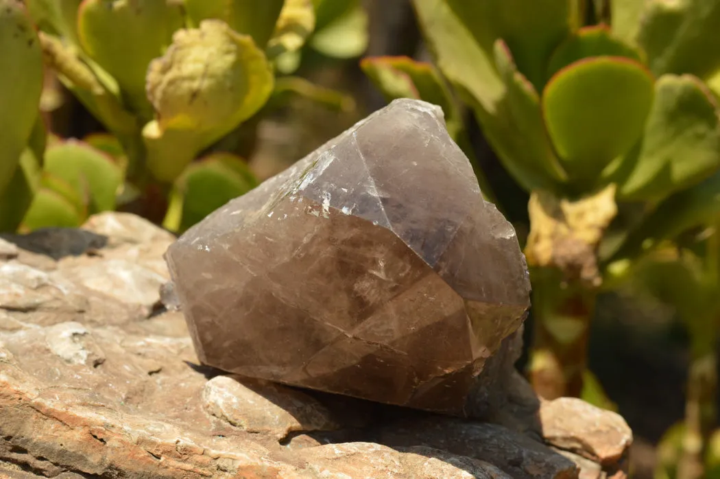 Natural Smokey Quartz Crystal With Polished Terminations x 1 From Mt. Mulanje, Malawi
