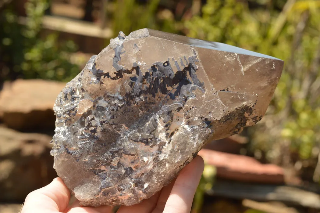 Natural Smokey Quartz Crystal With Polished Terminations x 1 From Mt. Mulanje, Malawi