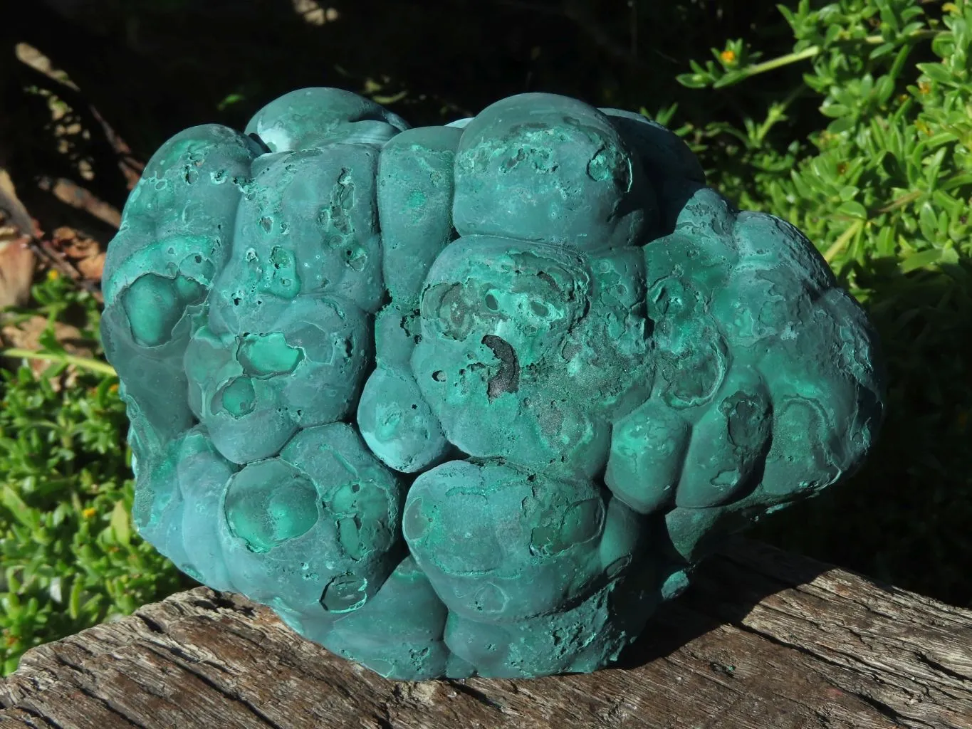 Natural Solid Heavy Etched Botryoidal Malachite Specimen x 1 From Kambove, Congo