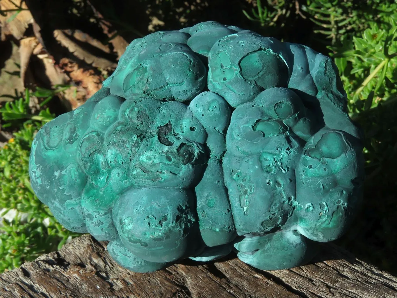 Natural Solid Heavy Etched Botryoidal Malachite Specimen x 1 From Kambove, Congo