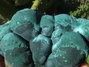 Natural Solid Heavy Etched Botryoidal Malachite Specimen x 1 From Kambove, Congo
