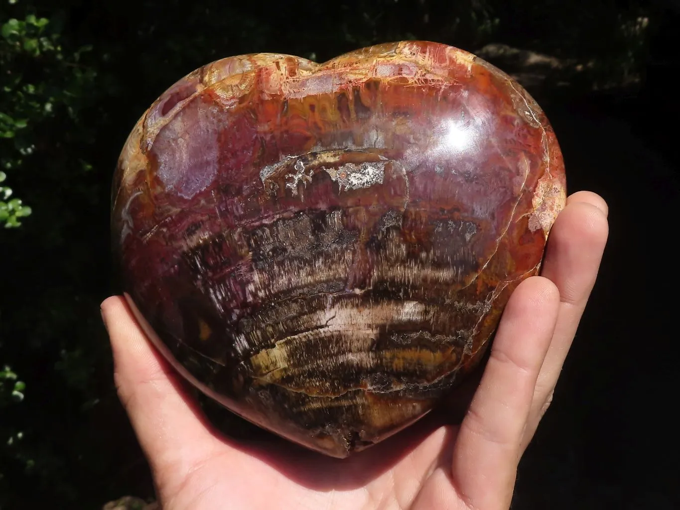 Polished Extra Large Petrified Red Wood Heart x 1 From Mahajanga, Madagascar