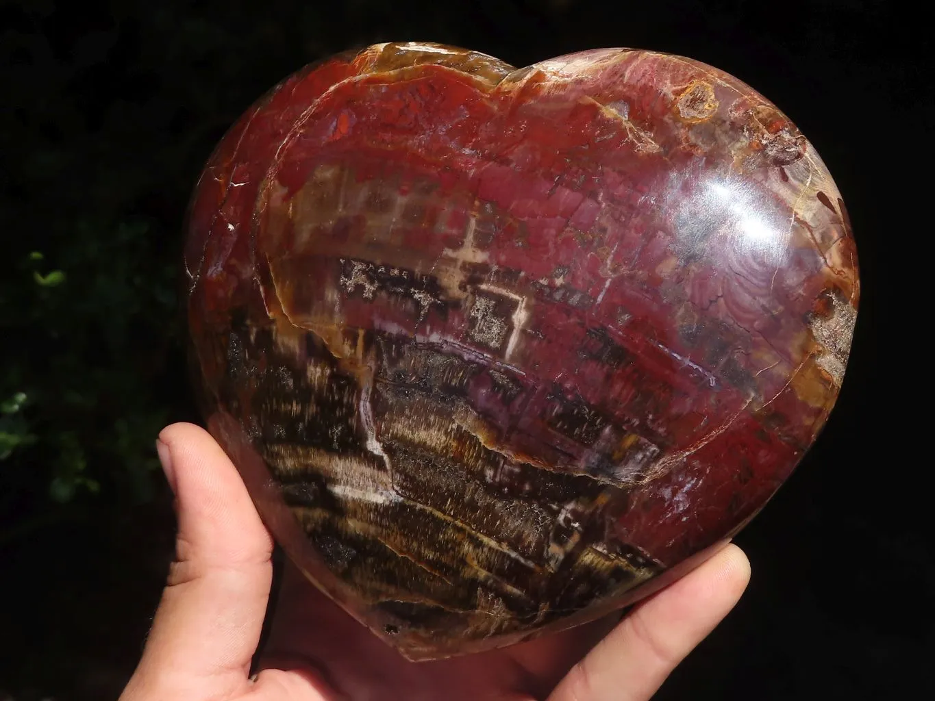 Polished Extra Large Petrified Red Wood Heart x 1 From Mahajanga, Madagascar