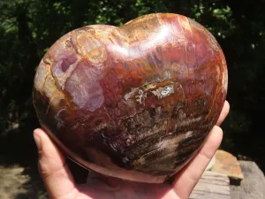 Polished Extra Large Petrified Red Wood Heart x 1 From Mahajanga, Madagascar