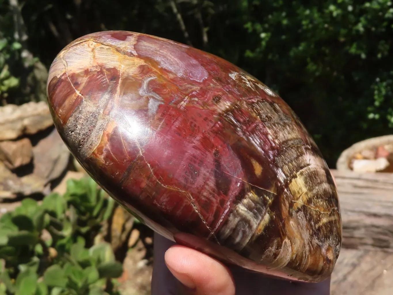 Polished Extra Large Petrified Red Wood Heart x 1 From Mahajanga, Madagascar