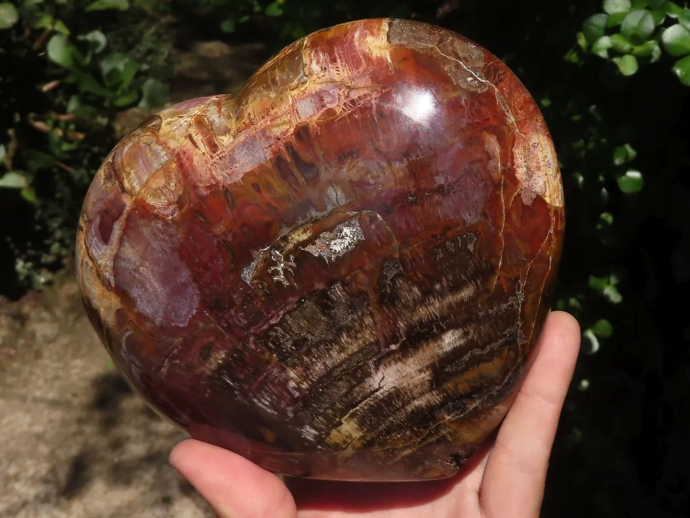 Polished Extra Large Petrified Red Wood Heart x 1 From Mahajanga, Madagascar
