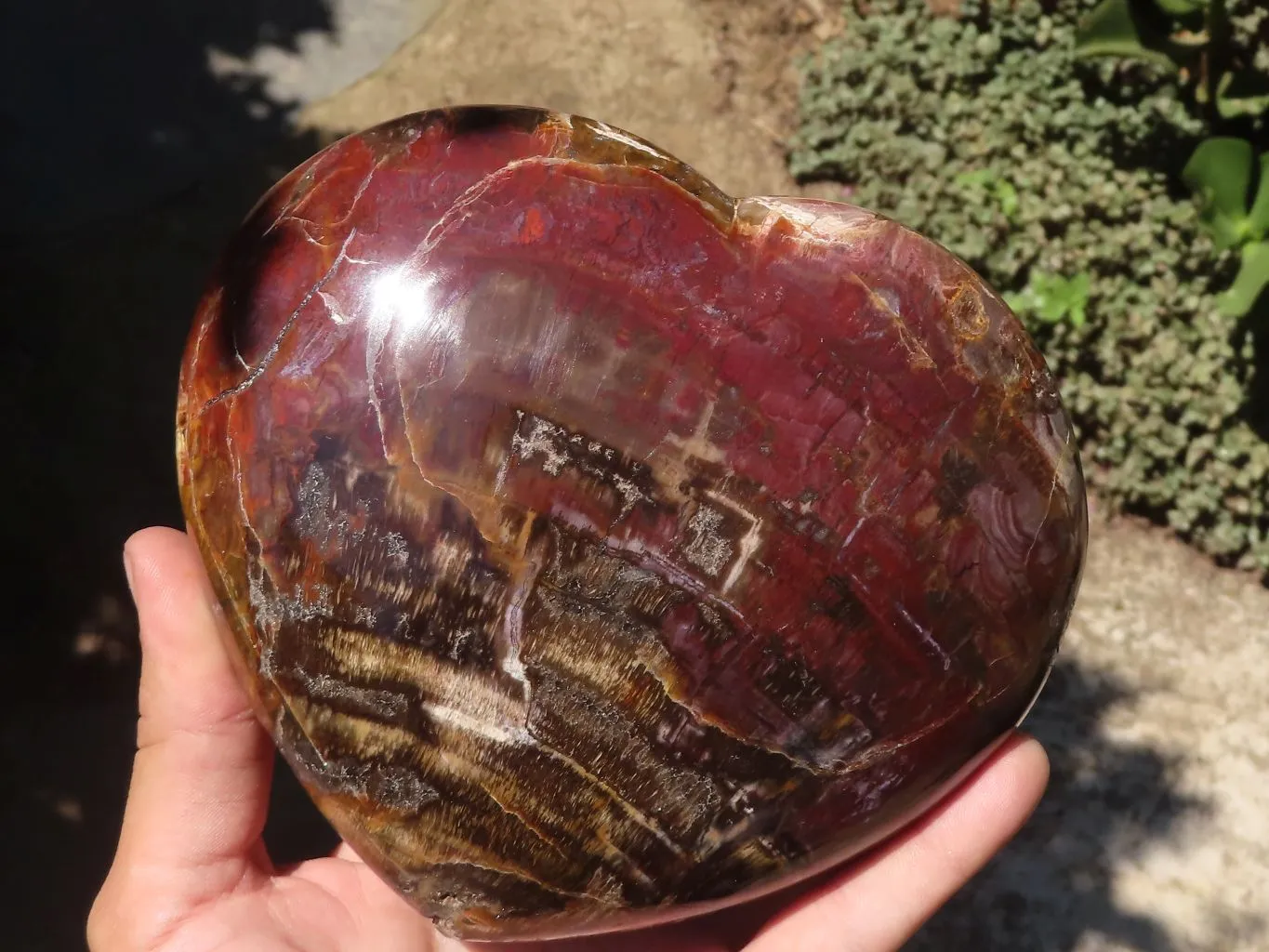 Polished Extra Large Petrified Red Wood Heart x 1 From Mahajanga, Madagascar