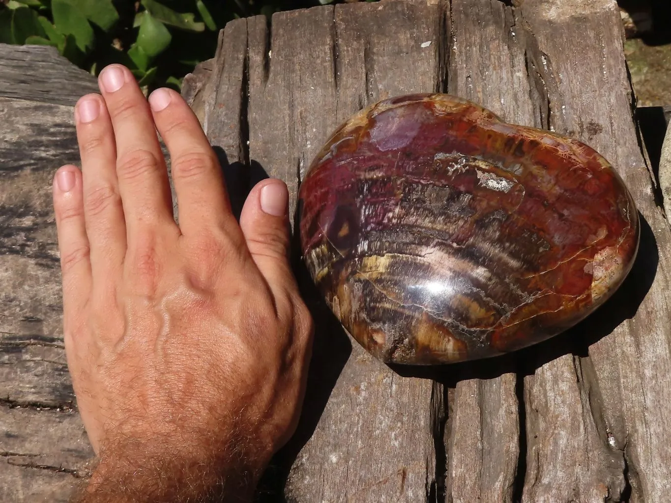Polished Extra Large Petrified Red Wood Heart x 1 From Mahajanga, Madagascar