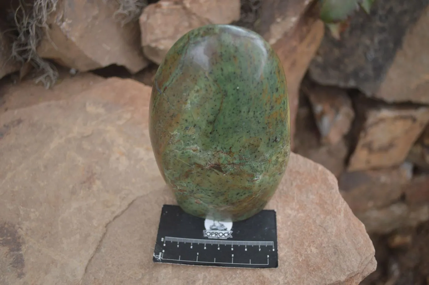 Polished Green Chrysoprase Standing Free Form x 1 From Madagascar
