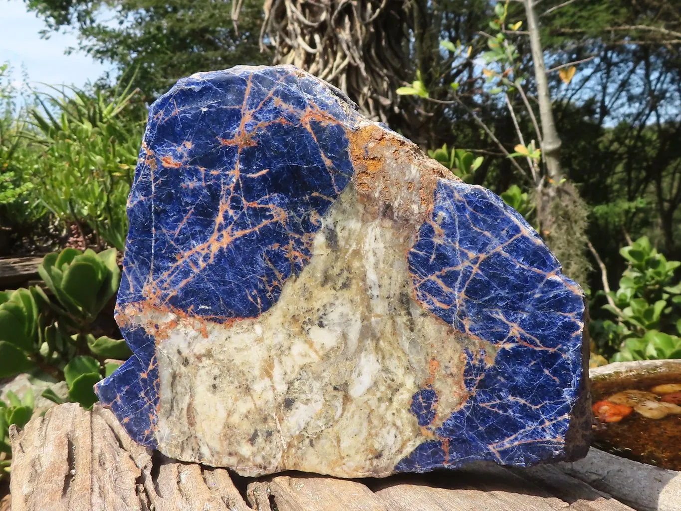 Polished Large Blue Sodalite Slab x 1 From Namibia