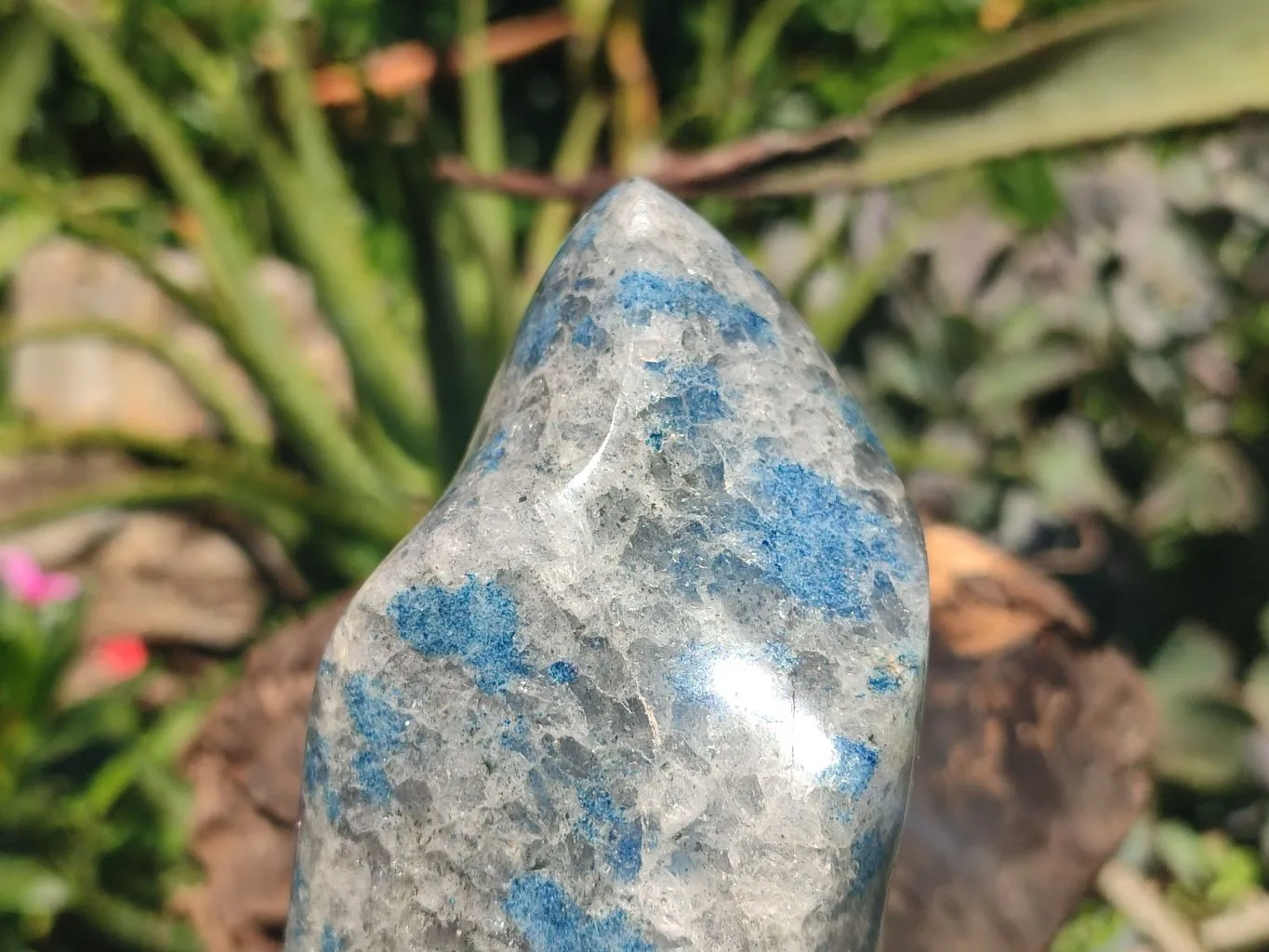 Polished Large Blue Spotted Spinel Quartz Flame Sculpture x 1 From Madagascar