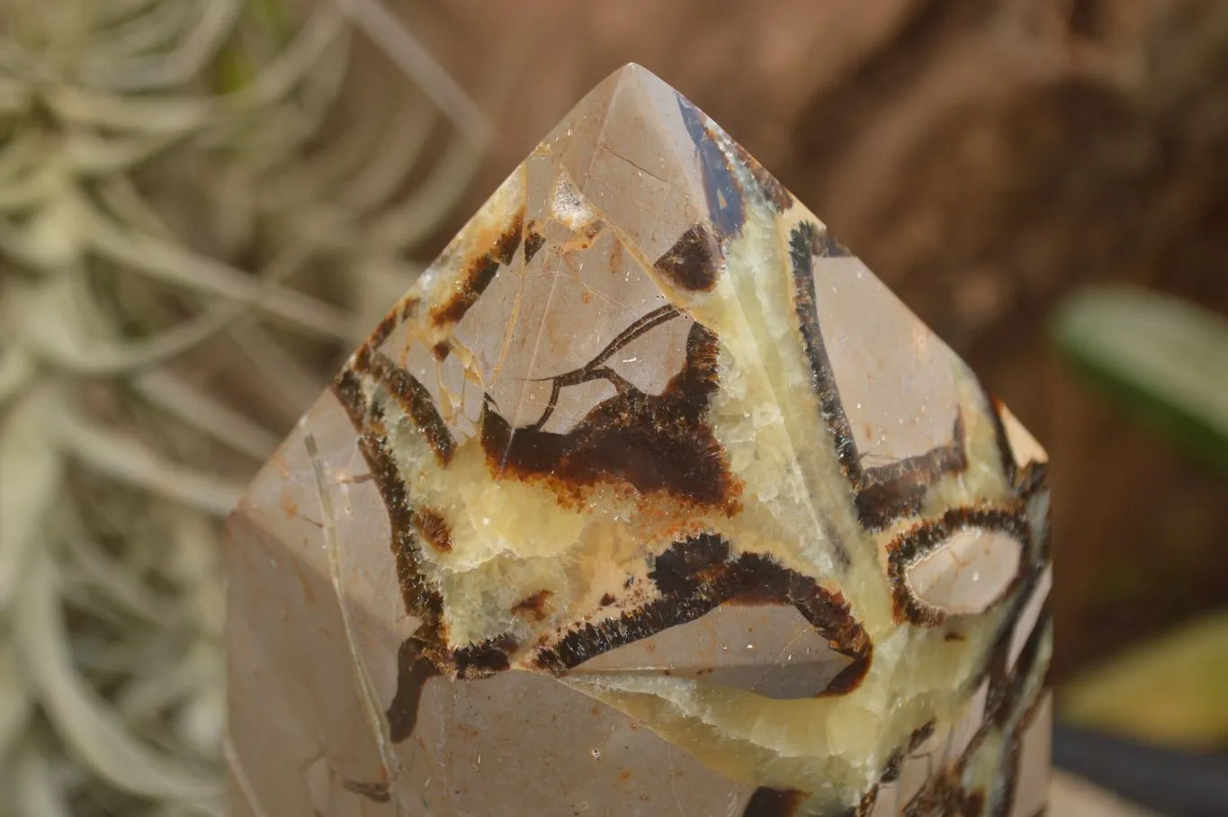 Polished Large Septaria (Yellow Calcite and Aragonite) Point x 1 From Mahajanga, Madagascar