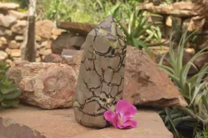 Polished Large Septaria (Yellow Calcite and Aragonite) Point x 1 From Mahajanga, Madagascar
