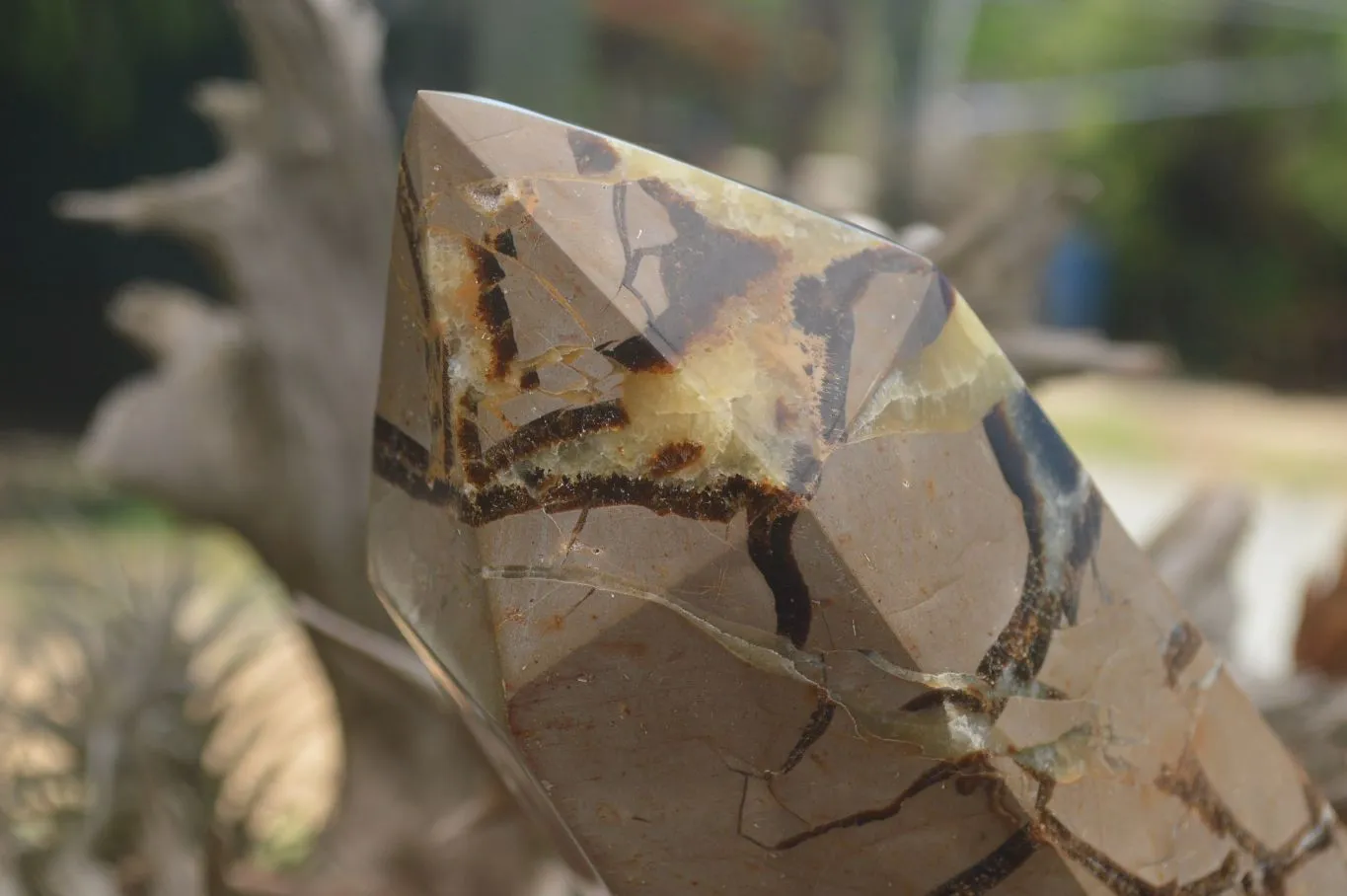 Polished Large Septaria (Yellow Calcite and Aragonite) Point x 1 From Mahajanga, Madagascar