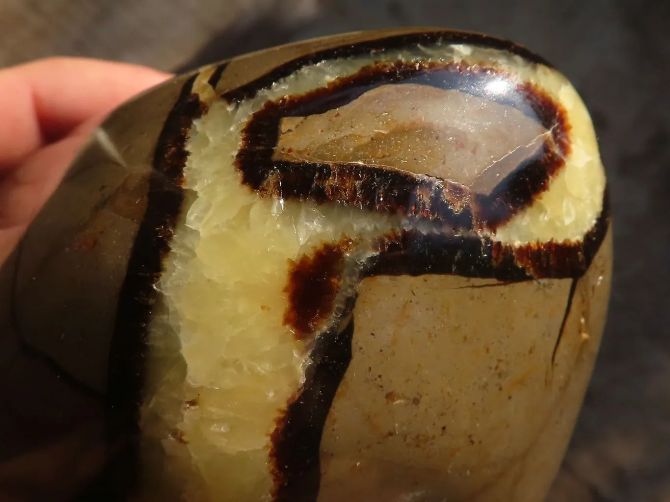 Polished Large Septerye Standing Free Form x 1 From Mahajanga, Madagascar