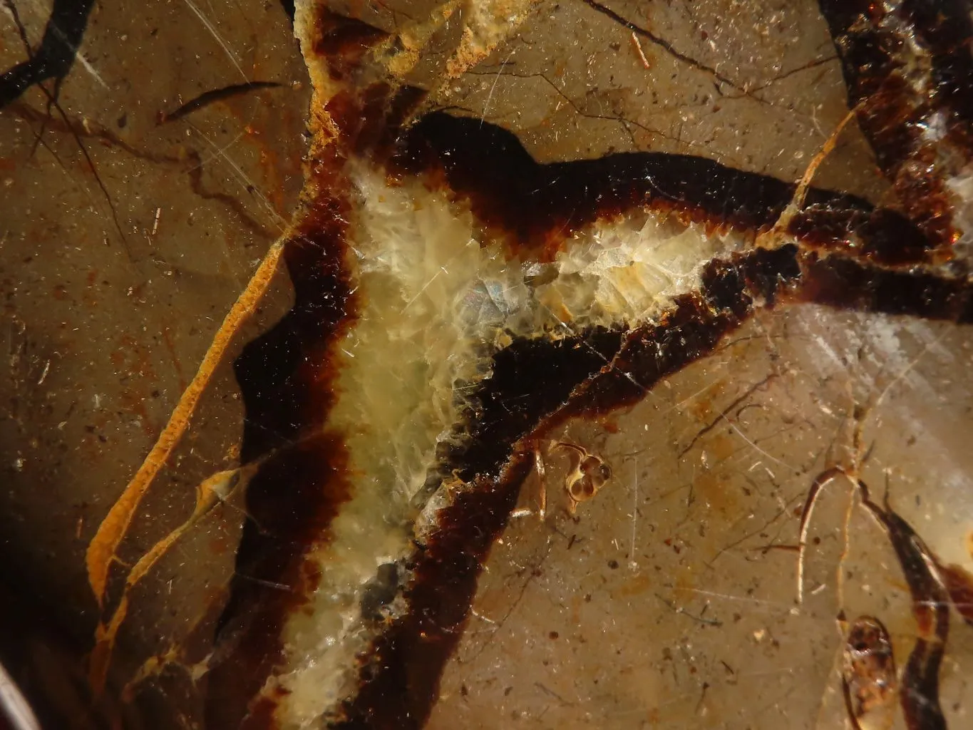 Polished Large Septerye Standing Free Form x 1 From Mahajanga, Madagascar