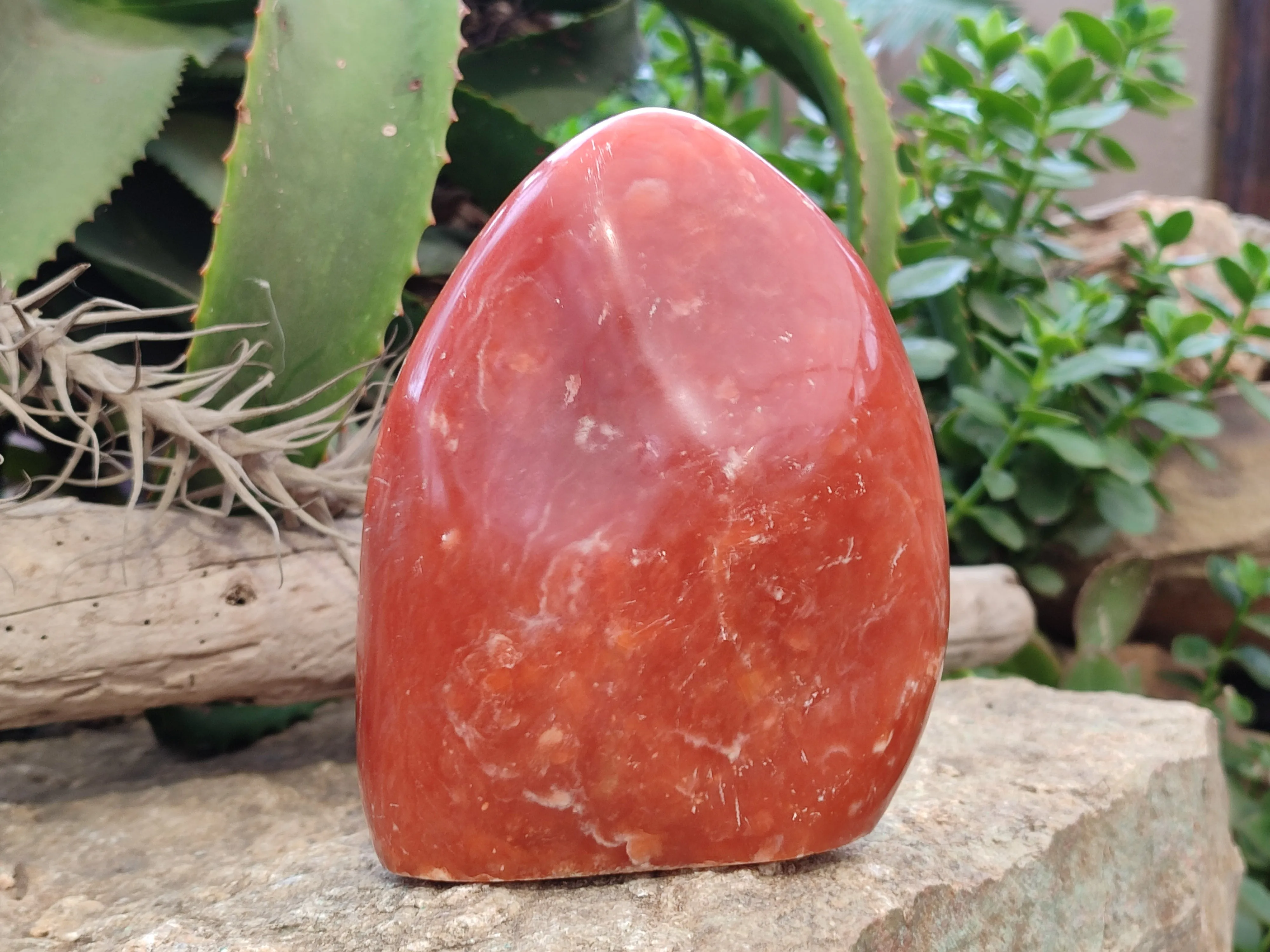 Polished Orange Twist Calcite Standing Free Form x 1 From Madagascar