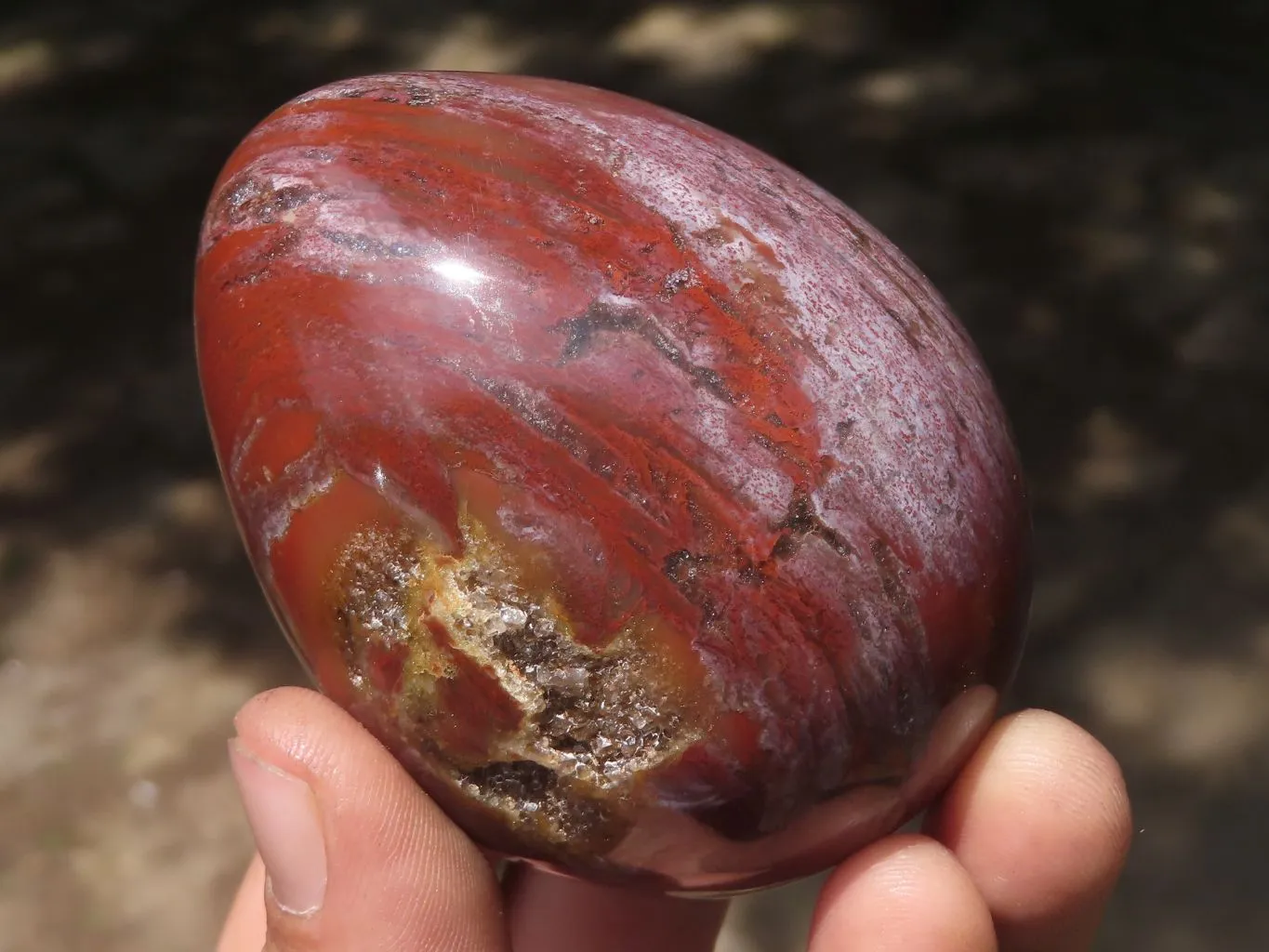 Polished Petrified Red Podocarpus Wood Eggs & Stands x 4 From Mahajanga, Madagascar