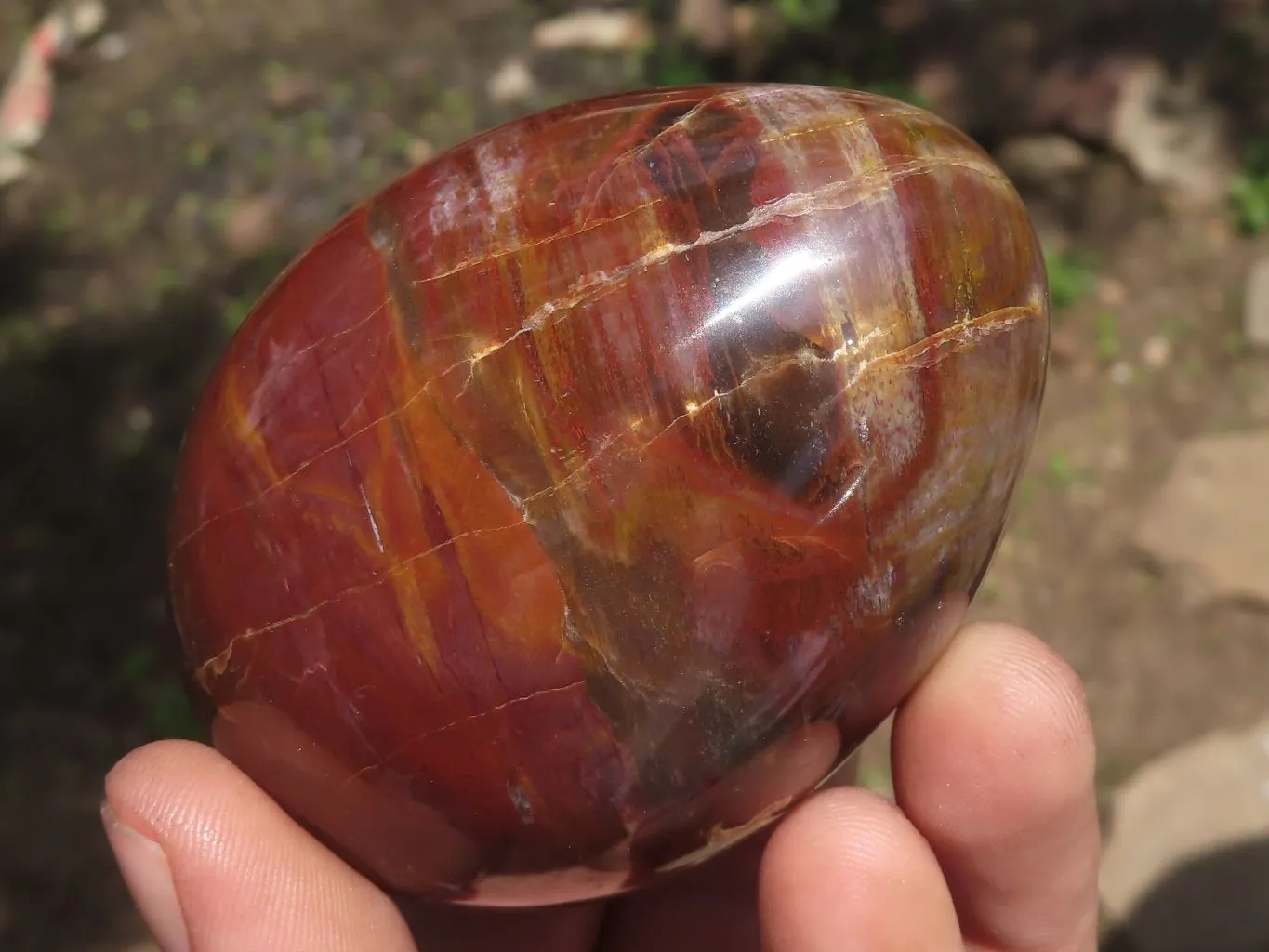 Polished Petrified Red Podocarpus Wood Eggs & Stands x 4 From Mahajanga, Madagascar