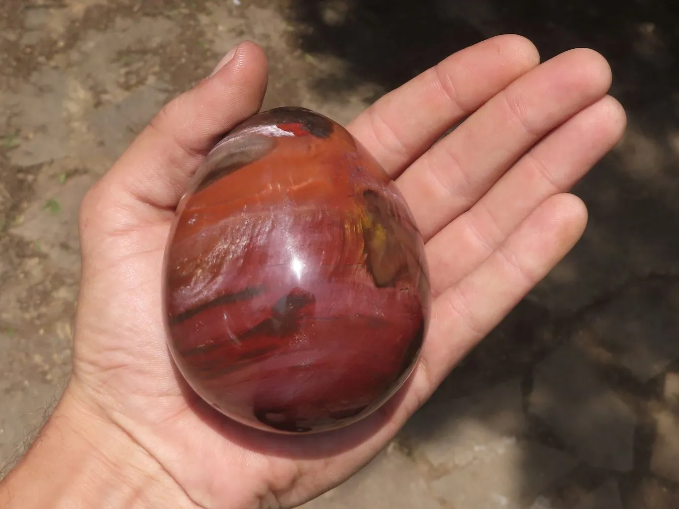 Polished Petrified Red Podocarpus Wood Eggs & Stands x 4 From Mahajanga, Madagascar
