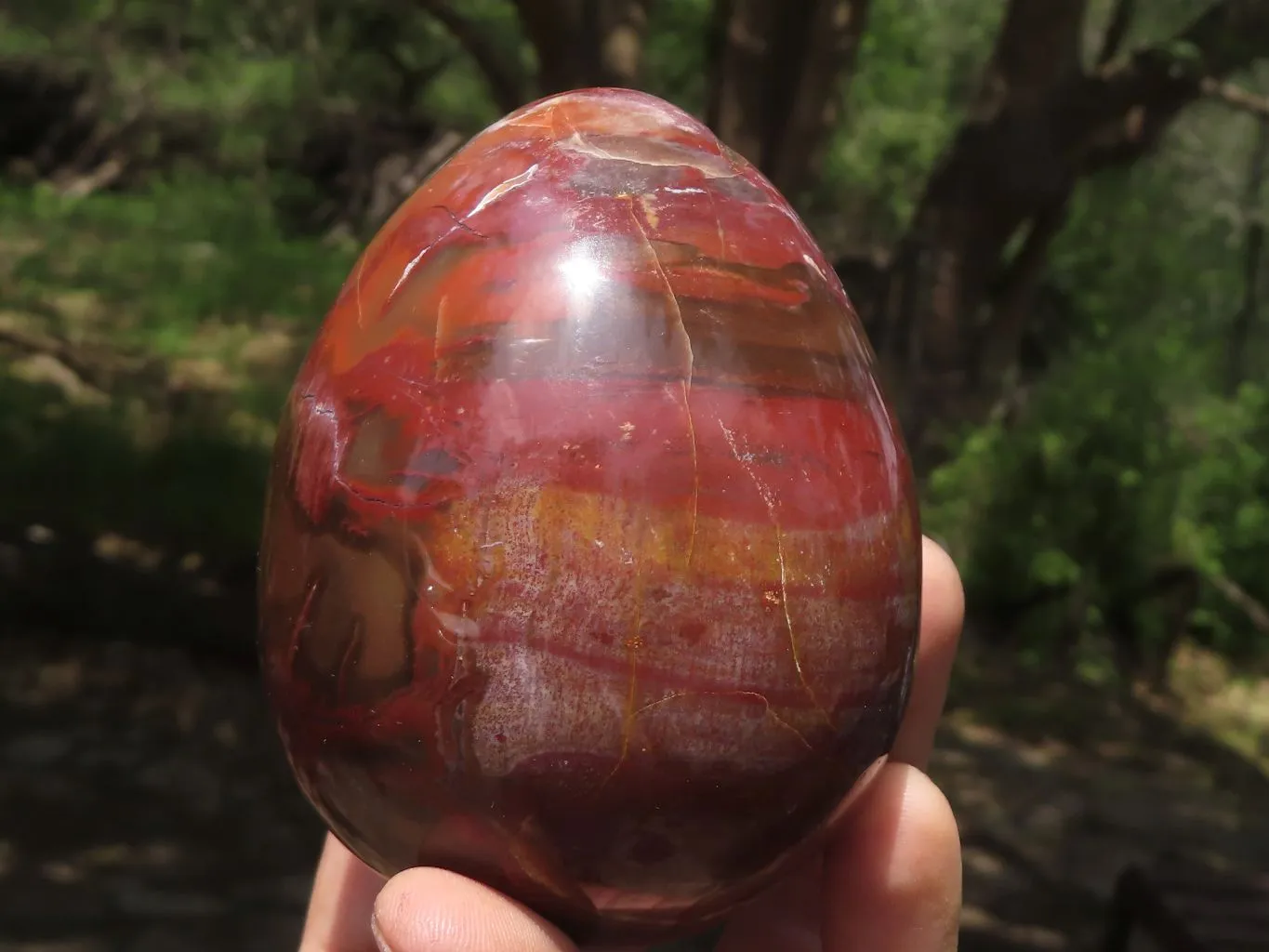 Polished Petrified Red Podocarpus Wood Eggs & Stands x 4 From Mahajanga, Madagascar