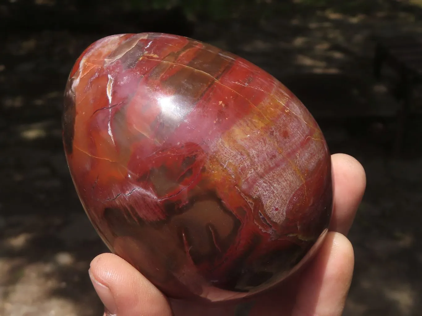 Polished Petrified Red Podocarpus Wood Eggs & Stands x 4 From Mahajanga, Madagascar