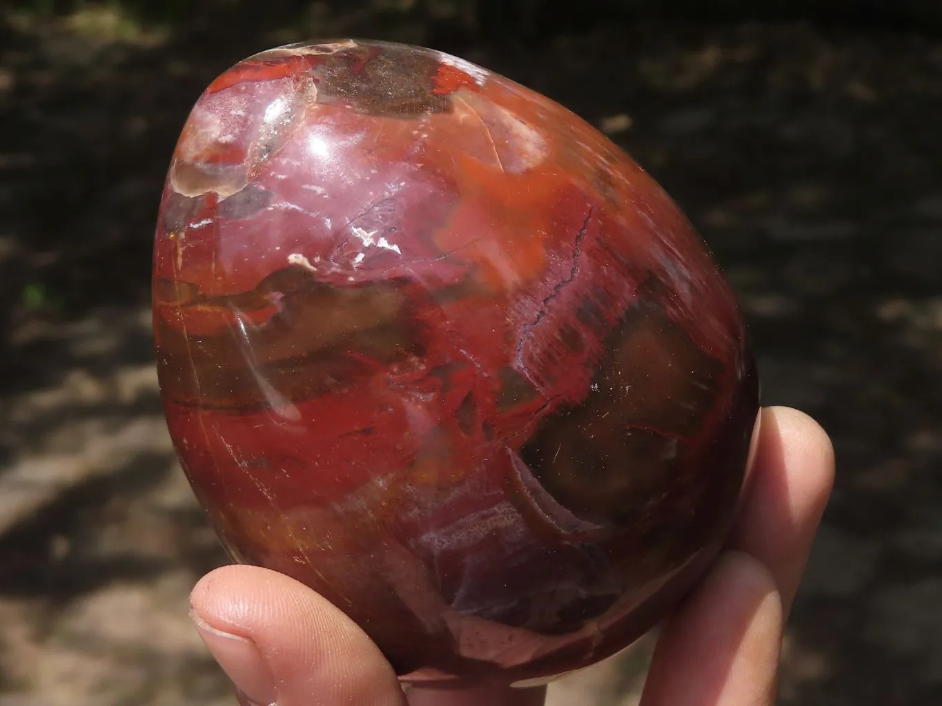 Polished Petrified Red Podocarpus Wood Eggs & Stands x 4 From Mahajanga, Madagascar
