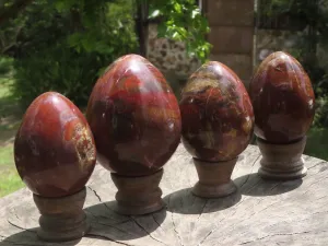Polished Petrified Red Podocarpus Wood Eggs & Stands x 4 From Mahajanga, Madagascar