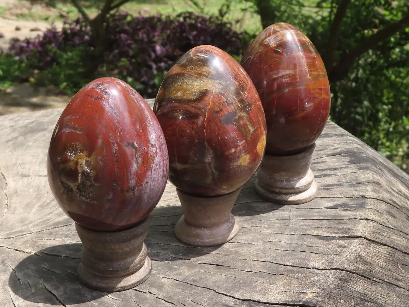 Polished Petrified Red Podocarpus Wood Eggs & Stands x 4 From Mahajanga, Madagascar