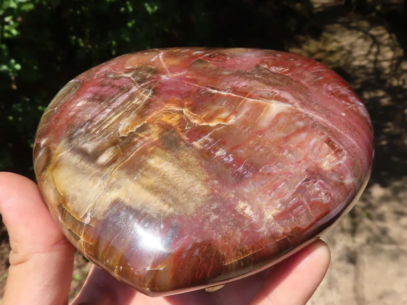 Polished Petrified Red Podocarpus Wood Heart x 1 From Mahajanga, Madagascar