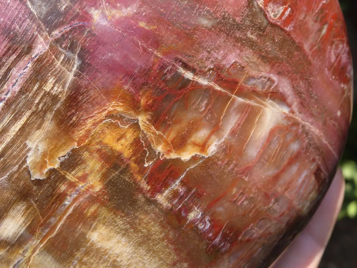 Polished Petrified Red Podocarpus Wood Heart x 1 From Mahajanga, Madagascar
