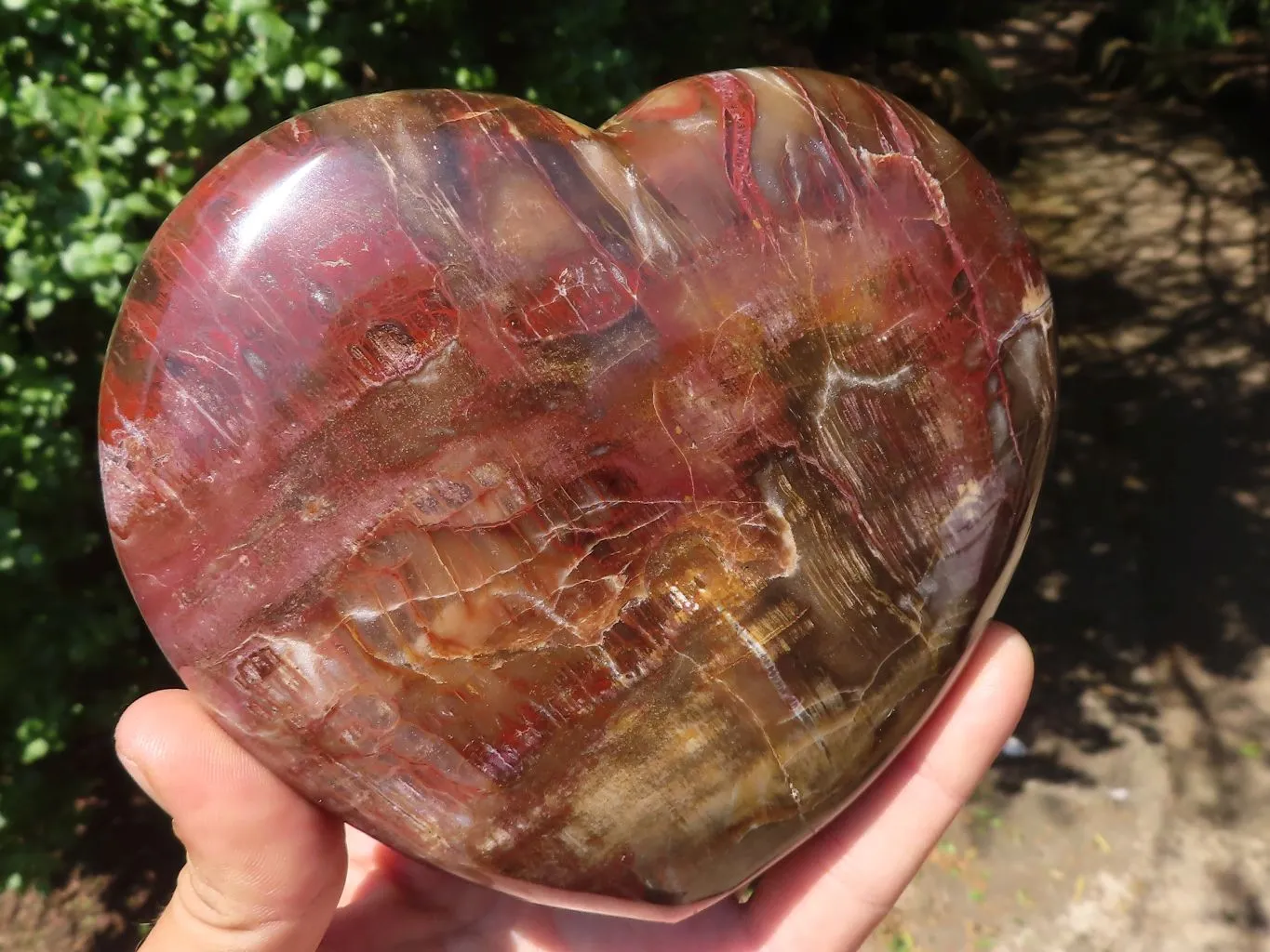 Polished Petrified Red Podocarpus Wood Heart x 1 From Mahajanga, Madagascar
