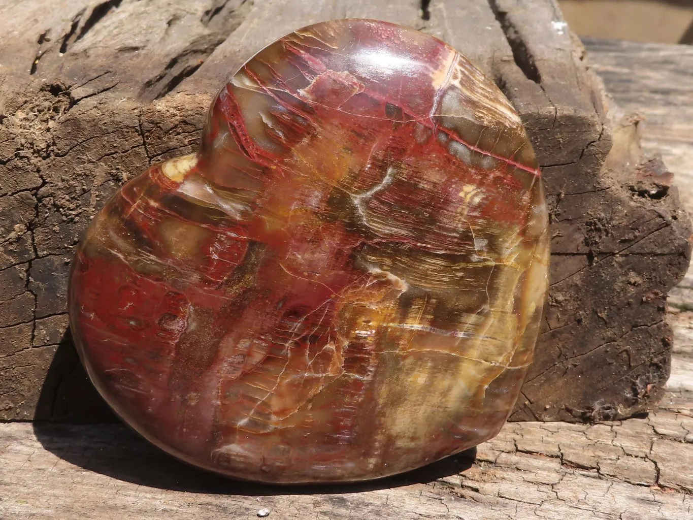 Polished Petrified Red Podocarpus Wood Heart x 1 From Mahajanga, Madagascar