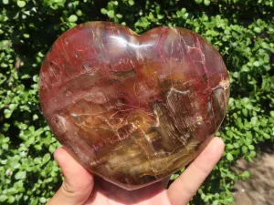 Polished Petrified Red Podocarpus Wood Heart x 1 From Mahajanga, Madagascar